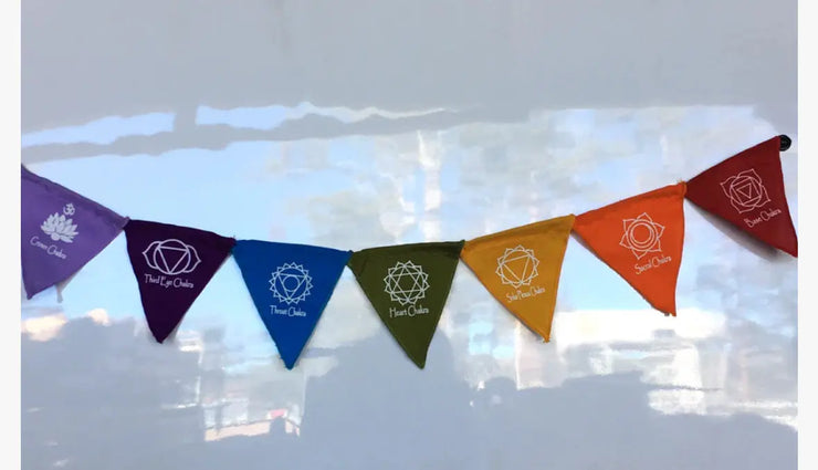 Chakra Magnet Flag Comic Blueprint7