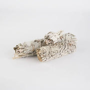 4cm White sage (smudge stick) Comic Blueprint7