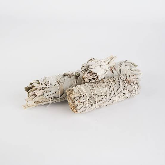 4cm White sage (smudge stick) Comic Blueprint7