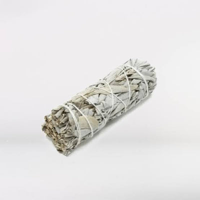 4cm White sage (smudge stick) Comic Blueprint7