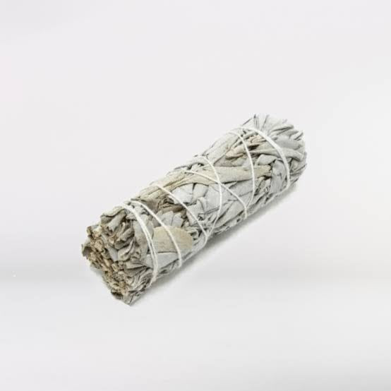 4cm White sage (smudge stick) Comic Blueprint7
