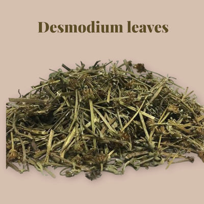 DESMODIUM leaves 10g Comic Blueprint7