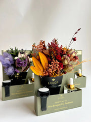 Nontoxic Floral Car Air Freshener Lucca