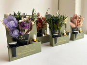 Nontoxic Floral Car Air Freshener Lucca